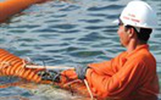 Cáp ngầm xuyên biển đã tiếp bờ Lý Sơn