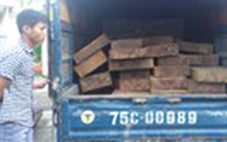 Phát hiện nhiều vụ vận chuyển gỗ lậu
