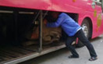 Phát hiện gỗ lậu dưới gầm xe khách
