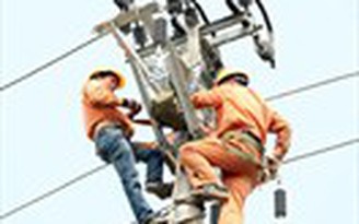 Tăng cường bảo vệ an toàn lưới điện tỉnh Bình Định