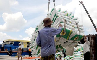 Xuất khẩu gạo đang trợ cấp cho người tiêu dùng nước ngoài