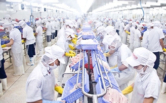 Thiếu vốn nuôi cá tra