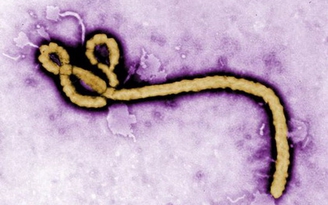 Rộ cáo buộc ‘quân đội Mỹ tạo ra Ebola’ trên mạng xã hội