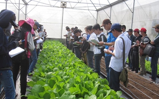 Trường ĐH Cần Thơ xét tuyển 3 tổ hợp môn
