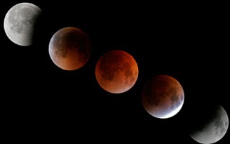 Quan sát hiện tượng 'Mặt Trăng máu' ở VN vào ngày 8.10