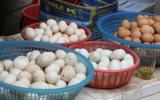Bộ trưởng Cao Đức Phát yêu cầu làm rõ giấy phép 'hành' quả trứng