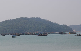 Tour du lịch ra đảo xa hút khách