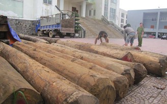 Bắt xe tải chở gần 5 m3 gỗ lậu