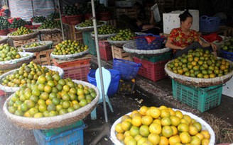 Hoa quả Việt lên ngôi