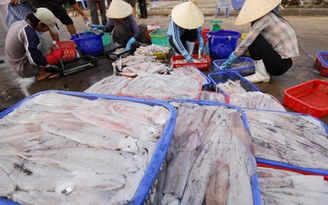 Phú Quốc: Phát triển kinh tế biển gắn với du lịch