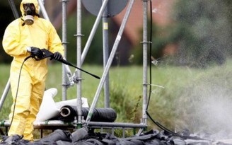 Đức phát hiện ca nhiễm chủng cúm gia cầm mới H5N8