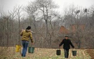 Cả làng ở Trung Quốc uống nước trộn phân… trị ung thư
