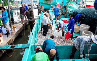 Cà Mau: Nâng cao giá trị kinh tế biển