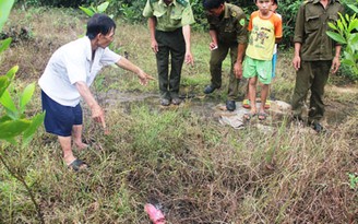 Hoang mang vì heo rừng húc chết người