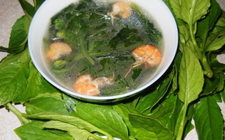 Rau lủi vườn nhà