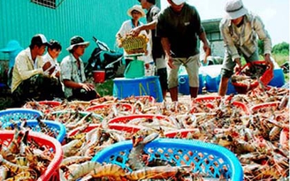 Xuất khẩu tôm đạt kim ngạch 3,8 tỉ USD