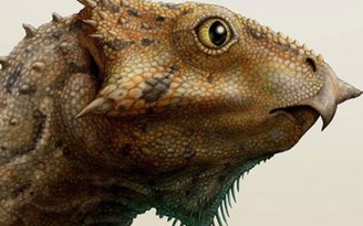Loài khủng long có sừng cổ xưa nhất ở Bắc Mỹ