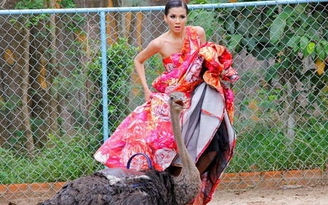Thí sinh Vietnam's Next Top Model dở khóc dở cười tạo dáng với hổ và đà điểu