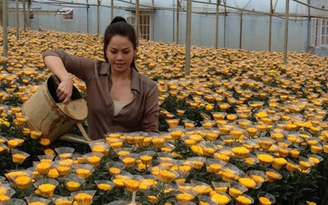 Nhật Kim Anh "chuyển nghề" đi làm vườn