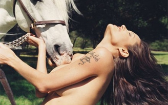 Đấu giá bức ảnh ngựa "hôn" ngực trần Angelina Jolie