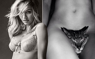Tranh cãi chuyện siêu mẫu Candice Swanepoel kẹp mèo vào chỗ hiểm