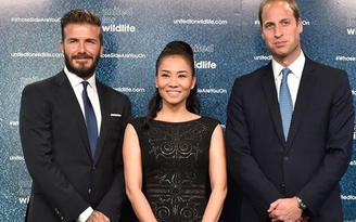 Thu Minh vinh dự được Hoàng tử William và David Beckham tiếp đón long trọng