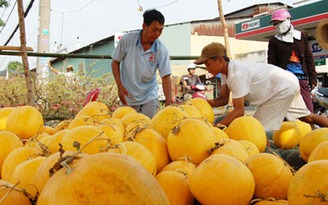 Tấp nập chợ nổi trái cây giữa Sài Gòn