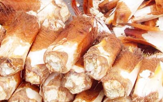 Nhớ đọt chà là ngày thơ ấu