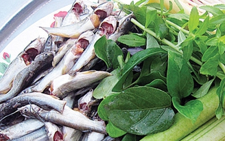 Đậm đà lẩu chua cá ngạnh Đậm đà lẩu chua cá ngạnh