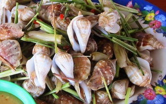 Quyến rũ như ốc đực