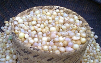 Gia vị củ nén của người Quảng