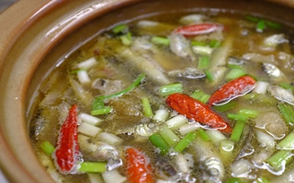Nhớ mùa cá linh của tuổi thơ