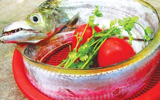 Lan man cá hố