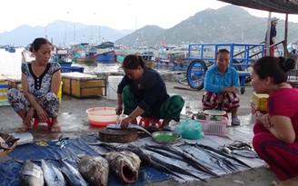 Hải sản tuyệt ngon nơi 'đảo tôm hùm' Bình Ba