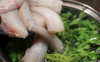 Hấp dẫn canh cá khoai nấu tần ô