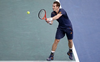 Andy Murray, Del Potro tiếp bước Novak Djokovic