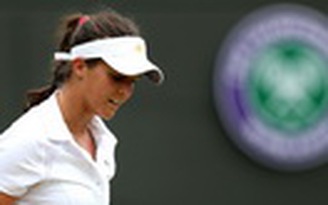 Những "trùm" Twitter tại Wimbledon 2013