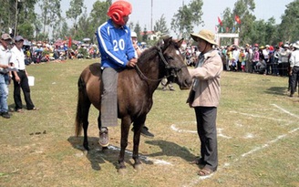 Hội đua ngựa gò Thì Thùng