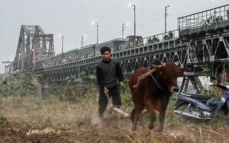 Ký ức Hà Nội