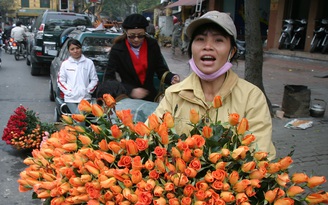 Người Hà Nội, hoa Hà Thành