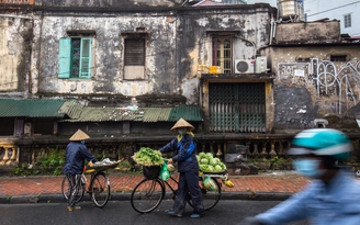 Tần tảo hàng rong Hà Nội