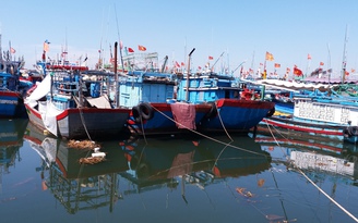Trung Quốc đã 'bàn giao' 8 ngư dân Quảng Ngãi trên tàu cá bị đâm chìm