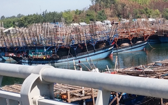 Tàu câu mực của ngư dân Quảng Ngãi với 27 lao động bị tàu lạ đâm chìm