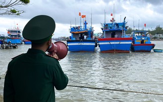 Quảng Ngãi: Hàng nghìn tàu cá vào bờ neo đậu tránh gió mạnh trên biển