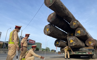 Quảng Ngãi: Tạm giữ xe đầu kéo chở gỗ khủng từ Hải Phòng đi qua địa bàn