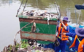 Cá chết nổi trắng kênh Nhiêu Lộc - Thị Nghè do mưa xuống rác thải ra