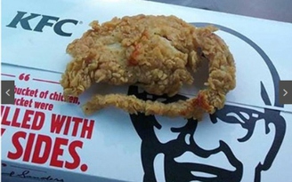 Khách hàng tố cáo KFC vì miếng thịt gà nhìn giống... chuột