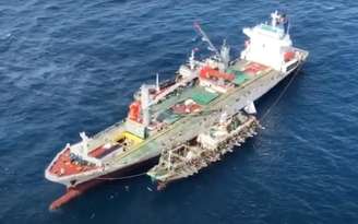 'Hạm đội' tàu cá Trung Quốc đánh bắt hàng ngàn tấn mực, cá sát quần đảo Galapagos