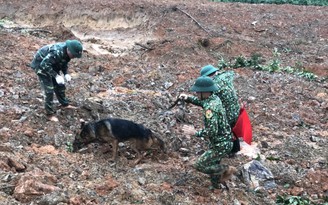 Phân đội chó nghiệp vụ quần thảo trong bùn đất tìm những người lính Đoàn 337