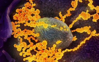 Chậm trễ tiêm vắc xin Covid-19, virus có cơ hội sinh nhiều biến chủng mới